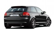 Spoiler la hayon Caractere | Audi A3 2004-2013 (8P)